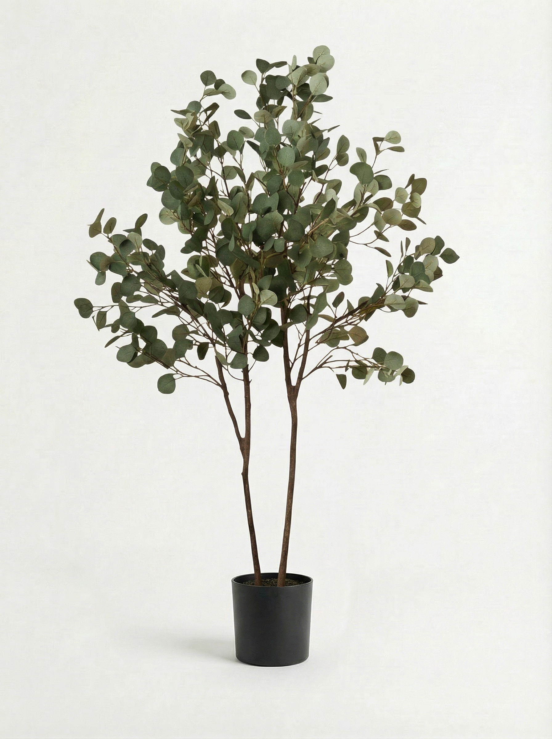 Green Eucalyptus 150cm
