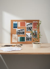 Olive Plant Kodomo - Japan