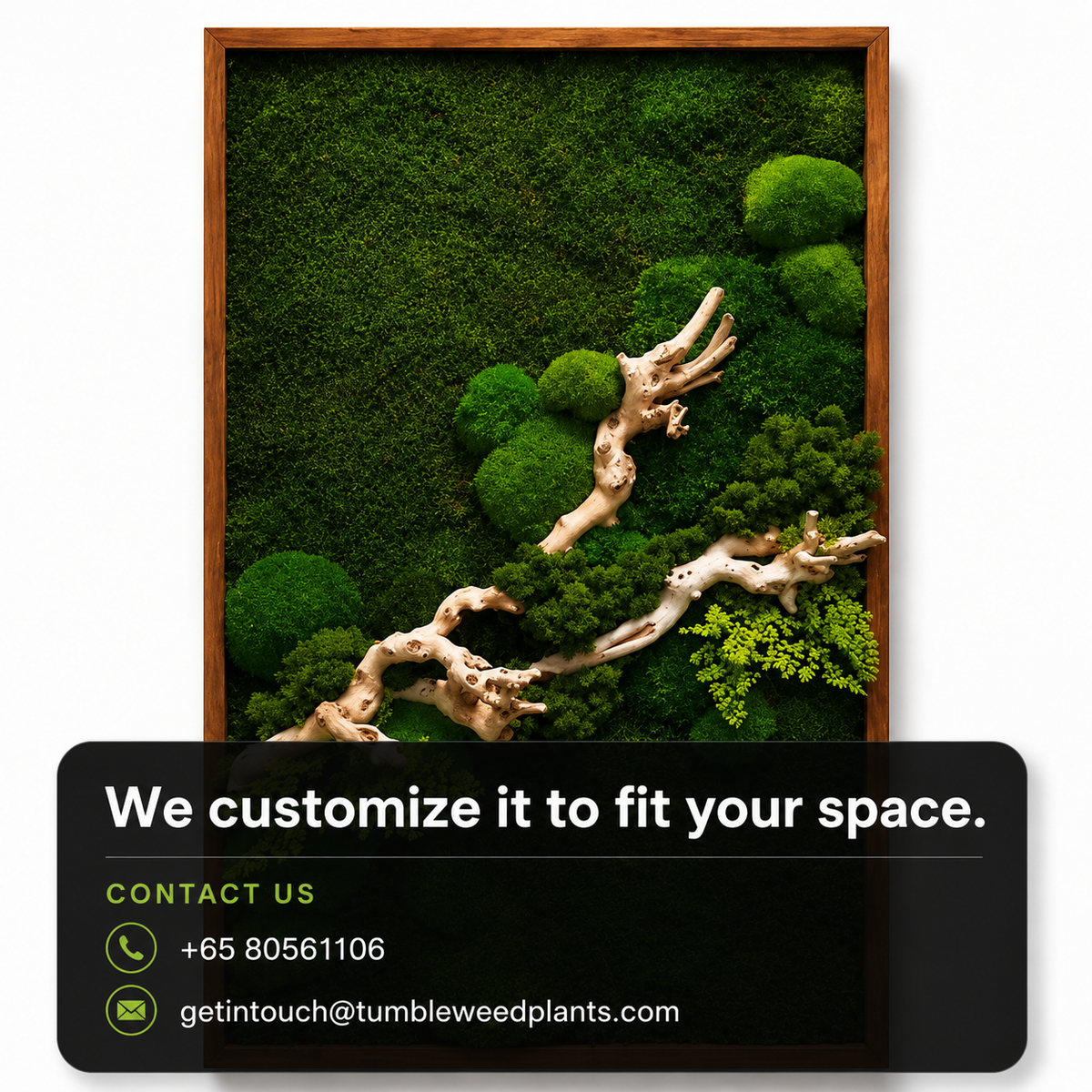 Frame Greens - MOSS.