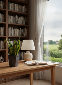 Sansevieria Trifasciata 'Futura Superba' - Potted plant -  Tumbleweed Plants