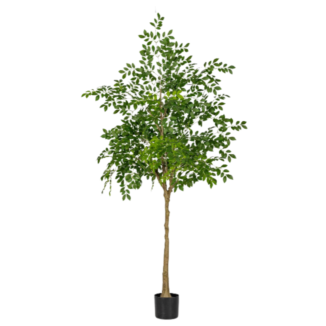 Chinese Money Tree (Faux)