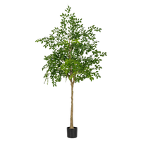 Chinese Money Tree (Faux)