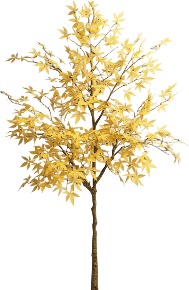 Maple Tree (Life-like Artificial)