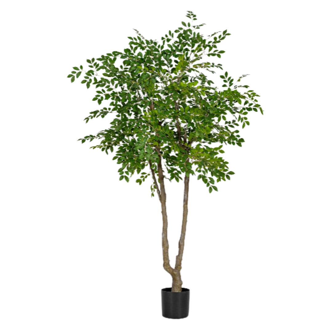 Chinese Money Tree (Faux)