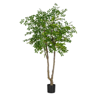 Chinese Money Tree (Faux)