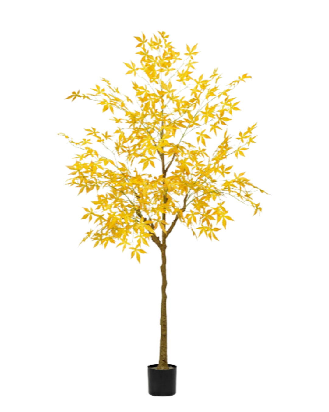 Maple Tree (Faux)