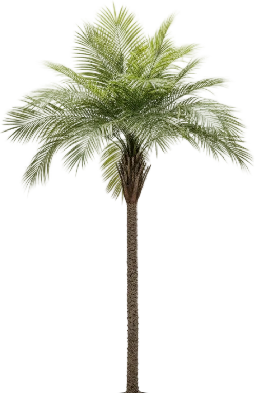 Areca Palm (Life-like Artificial)