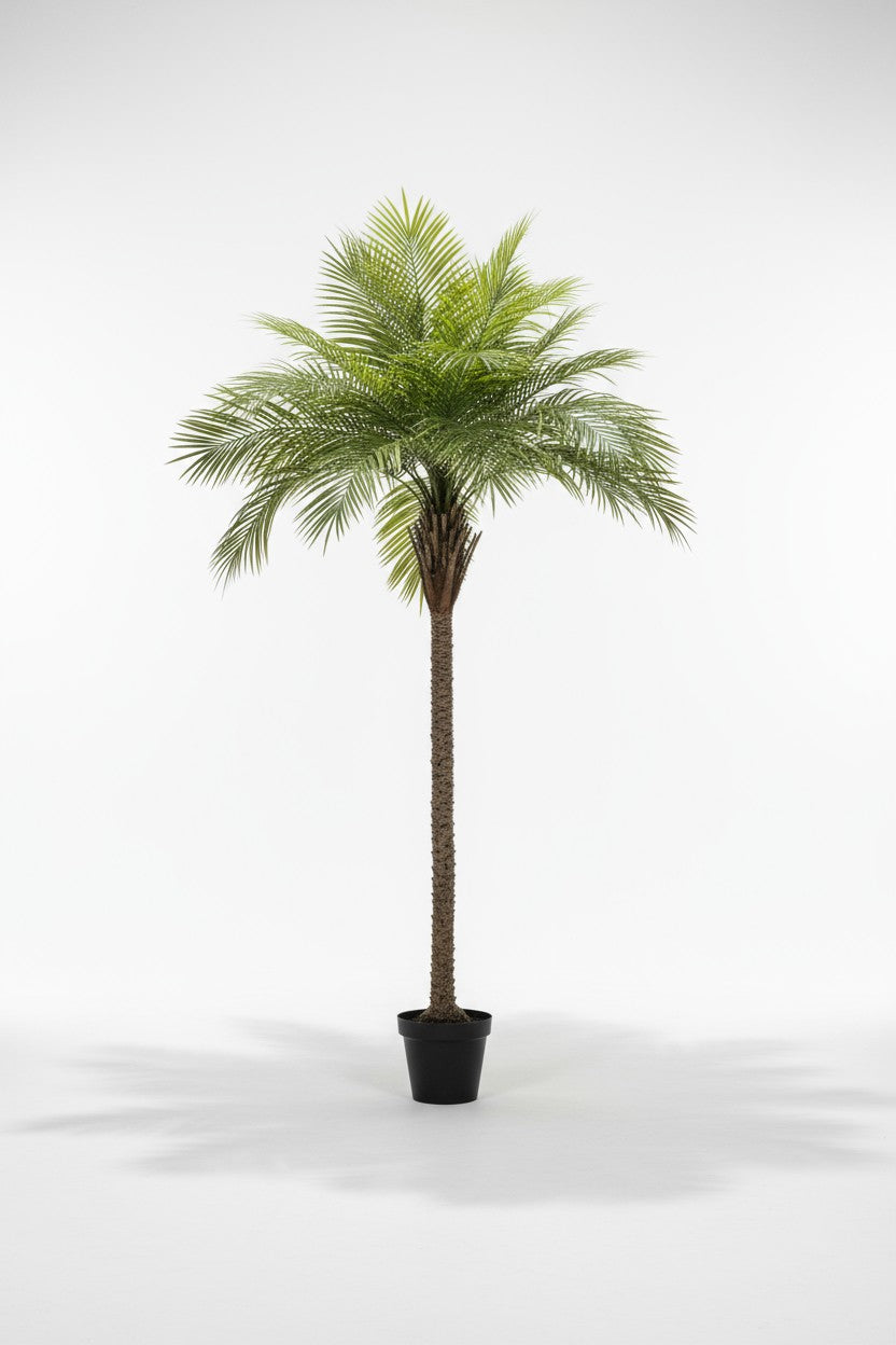 Areca Palm (Life-like Artificial) - Potted plant -  Tumbleweed Plants