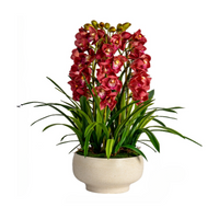 Cymbidium Flowers Arrangement (Faux)