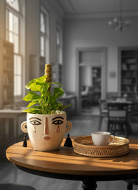 Epipremnum Money Plant (0.6m) - Potted plant -  Tumbleweed Plants