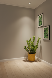 Lemon Tree (0.7-1.0m) - Potted plant -  Tumbleweed Plants