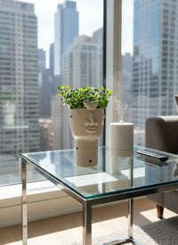 Peperomia Rotundifolia