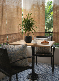 Mini Dracaena Marginata