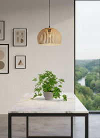 Mosquito Plant - Pelargonium Citrosum - Potted plant -  Tumbleweed Plants