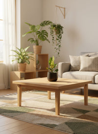 Dieffenbachia Cheetah - Potted plant -  Tumbleweed Plants