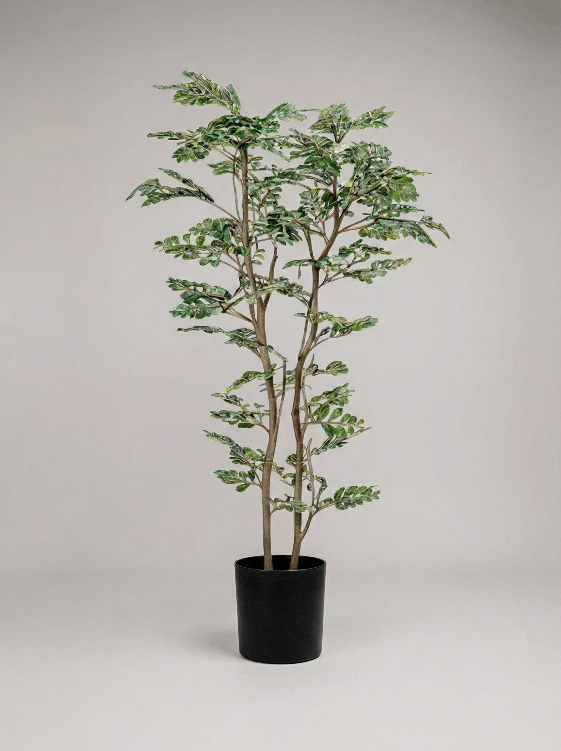 Double-Branch Shaped 160cm