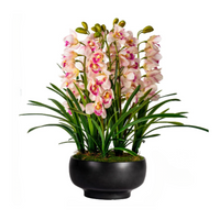 Cymbidium Flowers Arrangement (Faux)