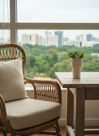 Peperomia Rotundifolia