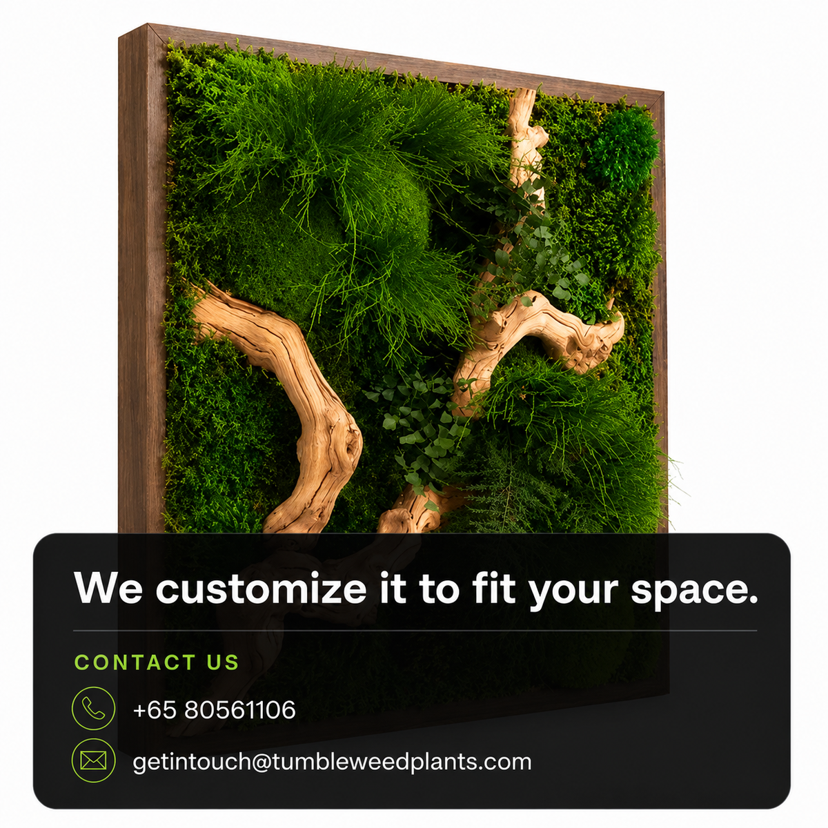 Frame Greens - MOSS.