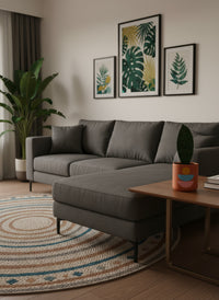 Junior Whale Fin Sansevieria Plant - Potted plant -  Tumbleweed Plants