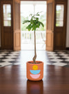 Money Tree Bottle-Trunk