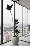 Rubber Tree 1.4m (Life-like Artificial) - Potted plant -  Tumbleweed Plants