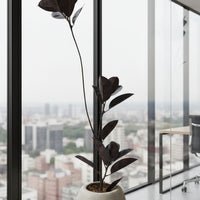 Rubber Tree 1.4m (Life-like Artificial)