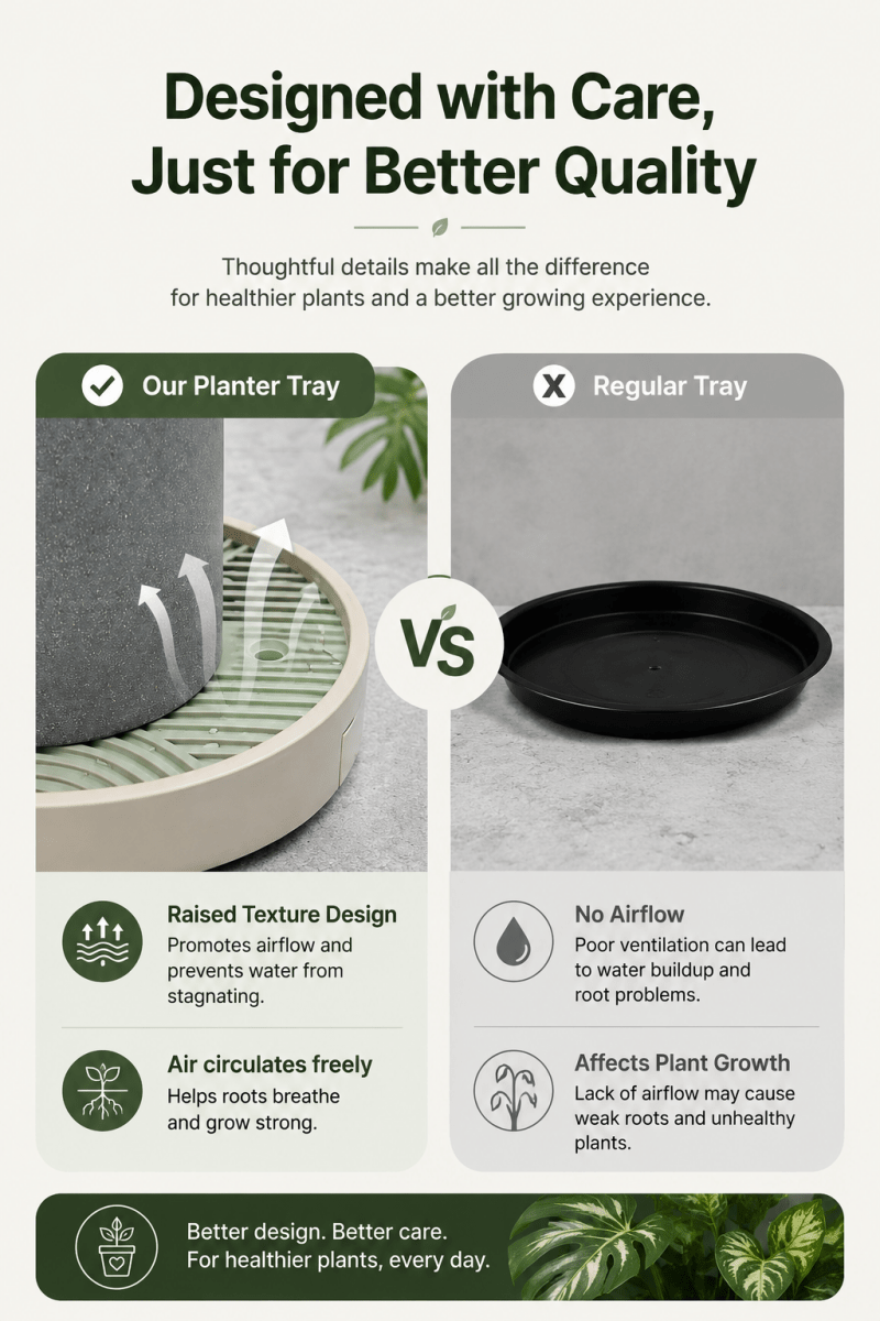 Plant Trolley Tray with Wheels - Plant Accessories - 5282075949744 - Tumbleweed Plants - Online Plant Delivery Singapore