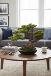 Zen Grove Bonsai - Real - Trunk Artificial - Plant Arrangement - 5516314535781 - Tumbleweed Plants - Online Plant Delivery Singapore