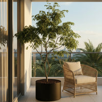 China Doll Tree - Real-Trunk Artificial