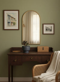 Giant Jewel Orchid - Potted plant -  Tumbleweed Plants