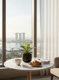 Philodendron Birkin - Potted plant -  Tumbleweed Plants