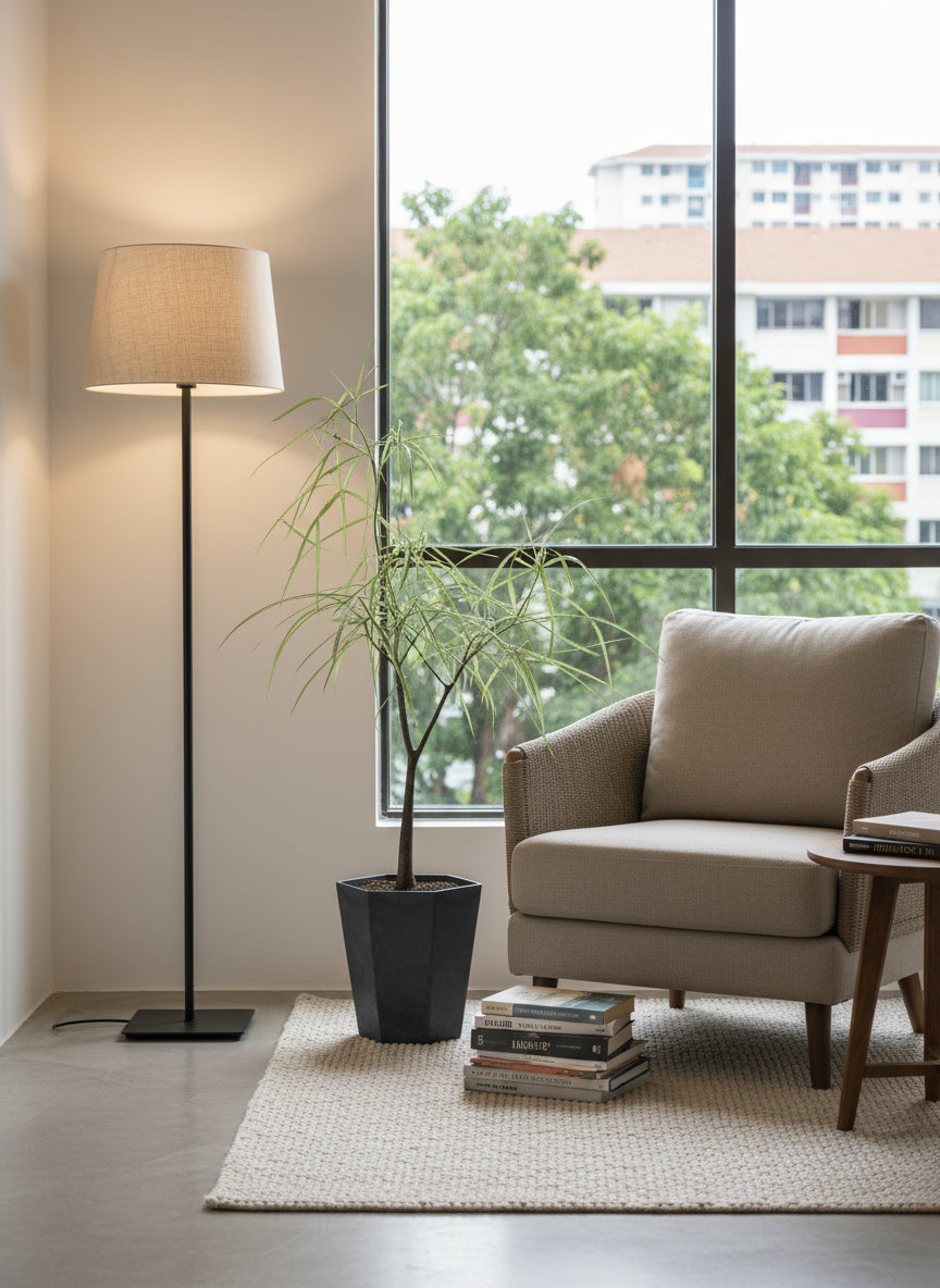 Bottle Tree Short (Brachychiton Rupestris) - Potted plant -  Tumbleweed Plants