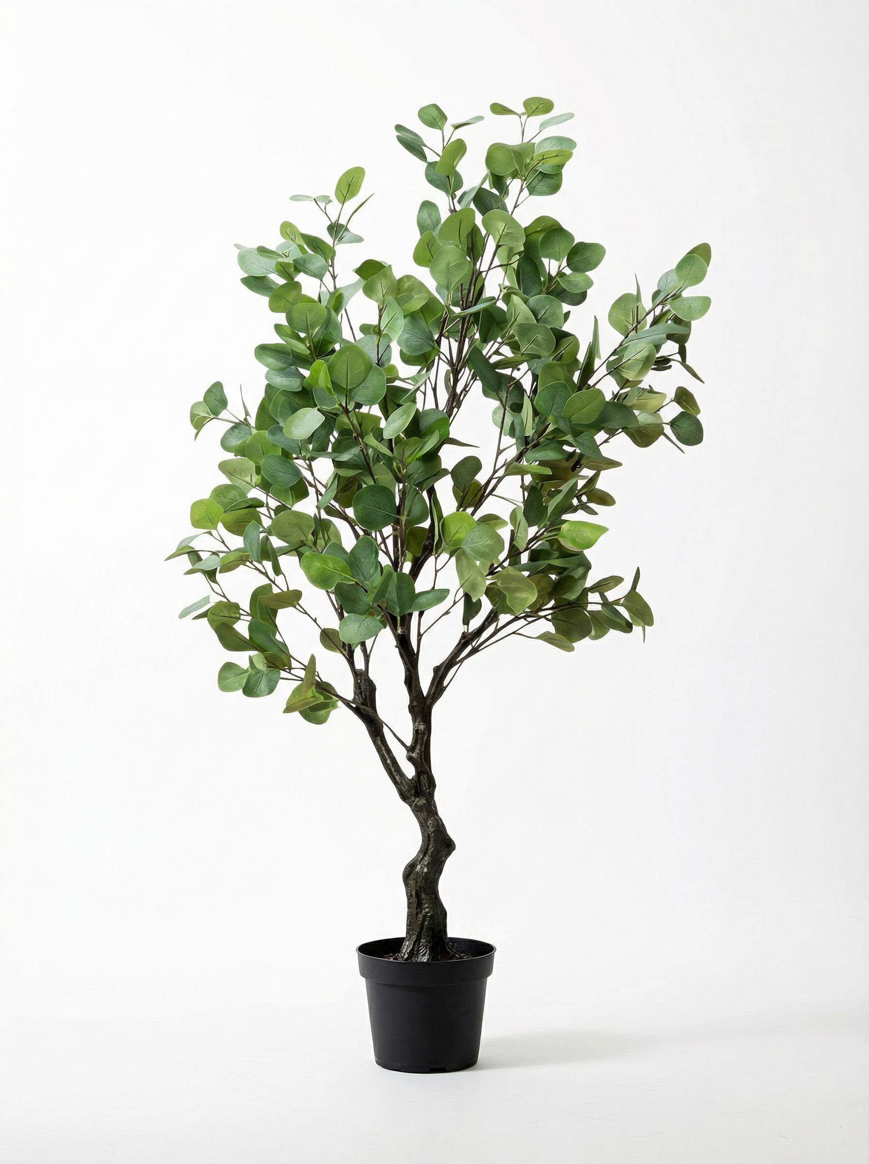 Green eucalyptus 120cm
