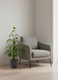 Epipremnum Pinnatum "Albo Variegata"