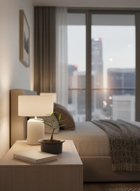 Bottle Tree Baby - Brachychiton Rupestris (Japan)