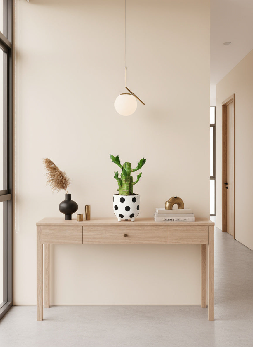 Mini Lucky Bamboo Plant