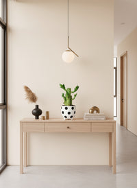 Mini Lucky Bamboo Plant