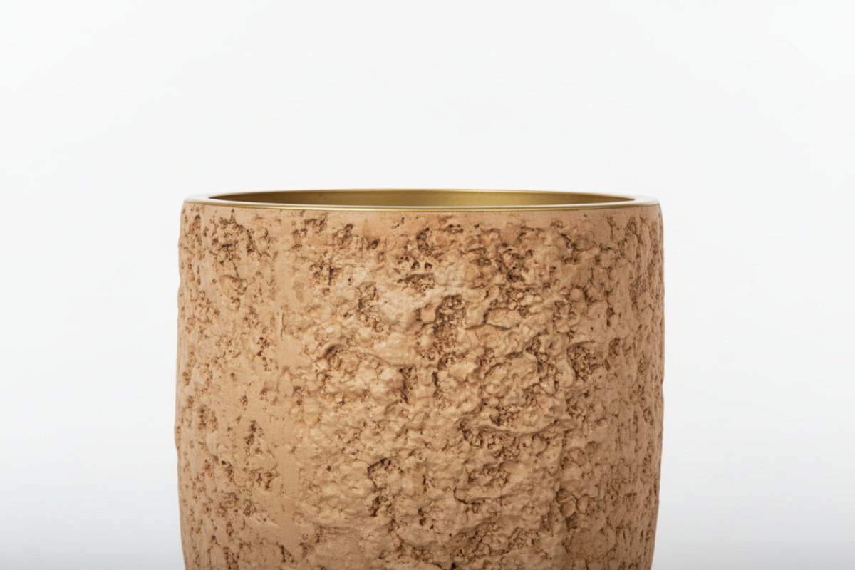 Hearth Planter - XXL - Planter - TERR-9829 - Tumbleweed Plants - Online Plant Delivery Singapore