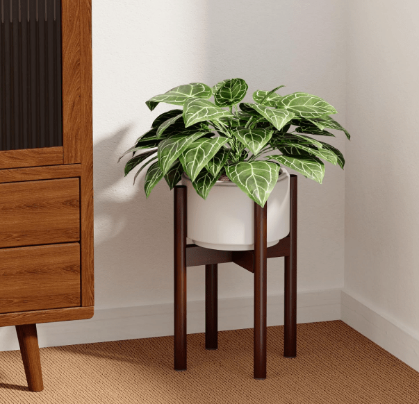 Adjustable Wood Stand - Stand - STAN - ADJU - WLNRNDMLC - 6887 - Tumbleweed Plants - Online Plant Delivery Singapore