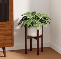 Adjustable Wood Stand - Stand - STAN - ADJU - WLNRNDMLC - 6887 - Tumbleweed Plants - Online Plant Delivery Singapore