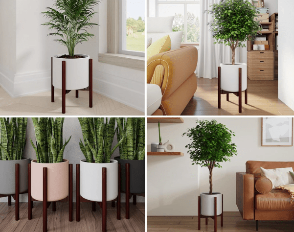 Adjustable Wood Stand - Stand - STAN - ADJU - WLNRNDMLC - 6887 - Tumbleweed Plants - Online Plant Delivery Singapore