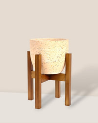 Adjustable Wood Stand - Dark Wood - Stand - Tumbleweed Plants - Online Plant Delivery Singapore
