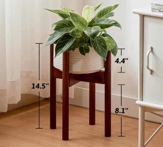 Adjustable Wood Stand - Stand - STAN - ADJU - WLNLRG - 5580 - Tumbleweed Plants - Online Plant Delivery Singapore