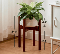 Adjustable Wood Stand - Stand - STAN - ADJU - WLNLRG - 5580 - Tumbleweed Plants - Online Plant Delivery Singapore