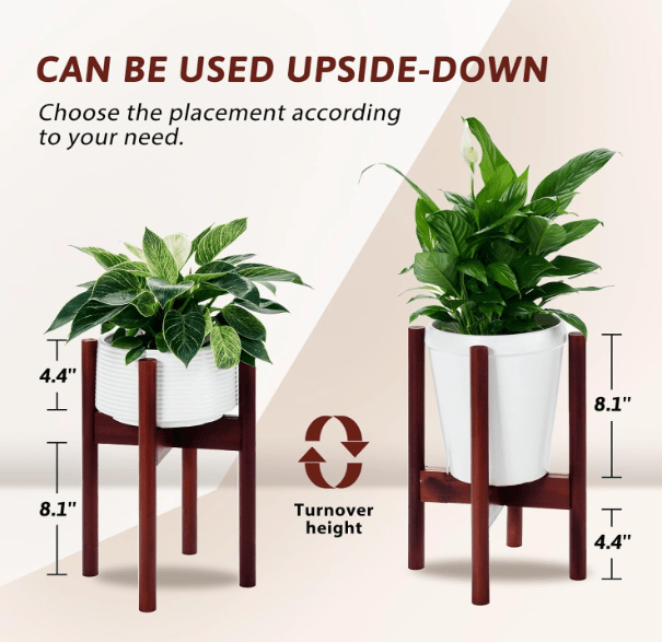 Adjustable Wood Stand - Stand - STAN - ADJU - WLNLRG - 5580 - Tumbleweed Plants - Online Plant Delivery Singapore