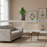 Aglaonema Pattaya Diamond Baby - Potted plant - POTT - AGLA - GRW - 7456 - Tumbleweed Plants - Online Plant Delivery Singapore