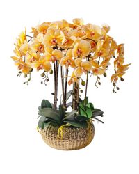 Orchid Arrangement (Faux)