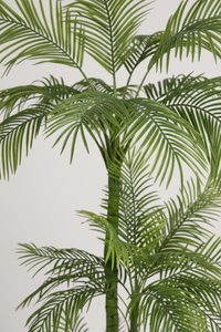 Areca Palm (Life-like Artificial) - Potted plant -  Tumbleweed Plants