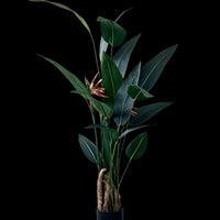 Artificial Heliconia Plant